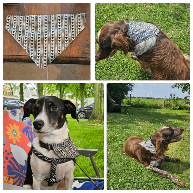 Bandana hond/poes